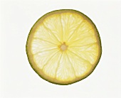 A Lime Slice