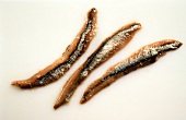 Three Anchovy Fillets