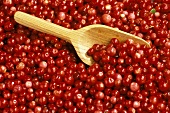 Many Cranberries with a Wooden Scoop
