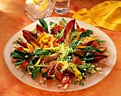 Gemischter Blattsalat mit Putenbrust, Mango & Sprossen
