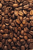 Many roasted coffee beans (close-up)