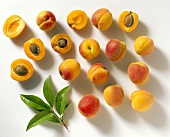 Apricots, some halved