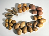 Several Potatoes in a Circle