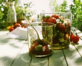 Tomaten, Oliven & Schafskäse in Ölmarinade im Glasgefäß