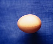 Braunes Ei auf blauem Untergrund