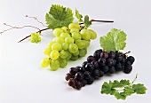 White and black grapes with leaves