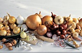 Several Types of Onions