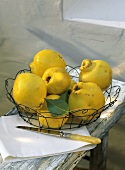 Quinces in wire basket