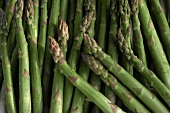 Many Green Asparagus Spears