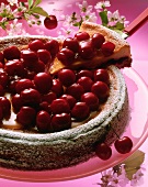 Cherry cheesecake, pieces cut, one piece on cake slice