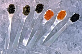 Verschiedene Kaviarsorten auf Perlmuttlöffeln