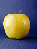 Ein grüner Apfel (Golden Delicious) vor blauem Hintergrund