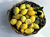 Lemons and Limes in Basket