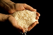 Zwei geöffnete Hände halten Reis (Langkornreis)