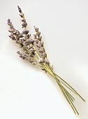 Dried sprigs of lavender