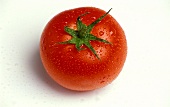 Frisch gewaschene Tomate mit Wassertropfen