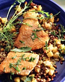 Fish fillet on lentils and potatoes with rocket