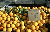 Orangen auf dem Markt (Türkei)