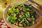 Avocado & salmon salad with spinach & lime & coriander dressing