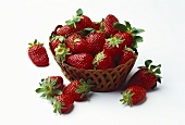 Frische Erdbeeren in Korbschale