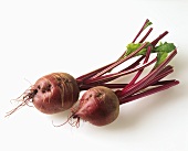 Two beetroots with stalks
