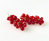 Rote Johannisbeeren, zwei Rispen