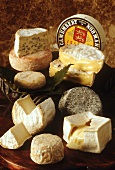 Several Soft Cheeses