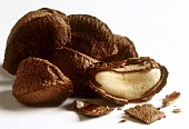 Brazil nuts with shells and a kernel in a broken shell