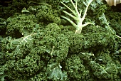 Kale (close-up)