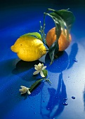 A Lemon and an Orange