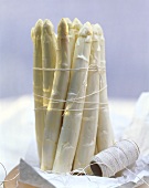 White Asparagus Wrapped in String