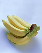 Eine Staude Bananen