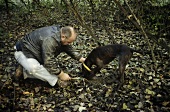 Truffle hunting with dogs in Piedmont