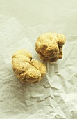 Two white truffles from Alba in Piedmont