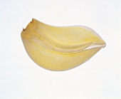 Cross Section of a Clove of Garlic