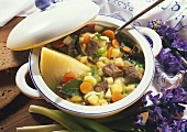 Beef and Vegetable Stew