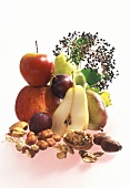 Arrangement mit Obst, Holunderbeeren & Nüssen
