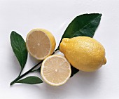 Whole and halved lemon on branch