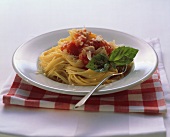 A Serving of Spaghetti with Tomato Sauce and Parmesan