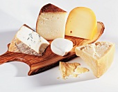 Many Diferent Types of Cheese