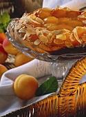 Aprikosentorte mit Mandelrand auf Kuchenständer