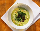 Herb soup with potato croutons in soup plate