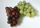 Red and green table grapes