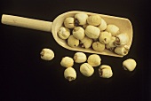 Lotus kernels on wooden scoop, black background