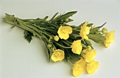 A bunch of bulbous buttercup on white background