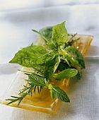Fresh Herbs on a Glass Plate