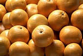 Gelbe Grapefruits (Ausschnitt)