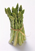 One Tied Bundle of Asparagus