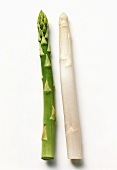 A Stalk of Green and a Stalk of White Asparagus