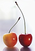A Red Cherry and a White Cherry
